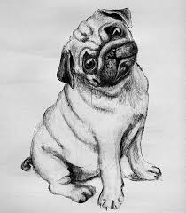 Pug Pug Art Dog Art Dog Illustration