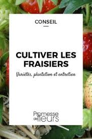 Epingle Sur Jardin