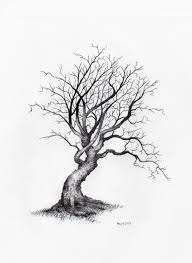 Owentreesketchesdaily Tree Sketch May 4 2018 Trees Treesketches Art Illustration Artwork Drawing Draw Oak Tree Drawings Tree Sketches Spring Tree Art