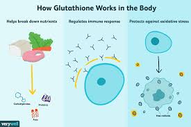 glutathione benefits side effects dosage and interactions