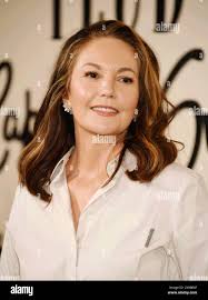 Diane lane los angeles hi-res stock photography and images