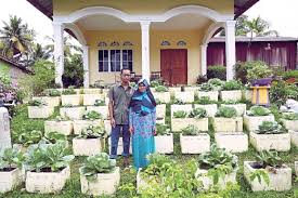 Emak bikin sambel pecel | masakan emak di desa. Sayur Keliling Rumah Jana Pendapatan Tambahan