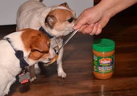 Raw peanuts contain an assortment of vitamins and minerals, but they are also loaded with protein and fat. 3 Best And Healthiest Peanut Butters For Dogs 50 Tested