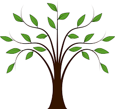 Tree Images Clip Art Tree Images Family Tree Clipart Spring Tree