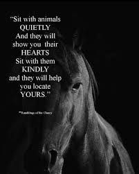 Pin By Dipali Rana On From The Heart Inspirational Horse Quotes Equestrian Quotes Country Girl Quotes