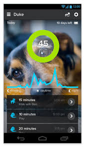 Dogs are the only creatures on the face of earth who will never betray their masters. Iams Pedigree Pet Food Company Acquires Dog Fitness Tracking Startup Whistle Mobihealthnews