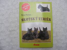 Image result for skotský teriér