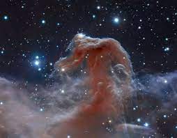 Want To Know What Hubble Is Up To Right Now There S A Tweet For That Horsehead Nebula Astronomy Pictures Nebula