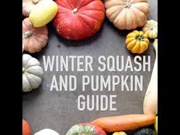 Winter Squash And Edible Pumpkins Guide For Fall Squash