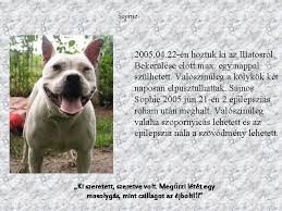 Meghalt sophie, a nem rádióbarát popzene megújítója. In Memoriam Ki Itt Belpsz Hagyj Fel Minden