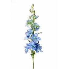 We did not find results for: Fake Delphinium Rasmine Light Blue 60cm O5 7cm Fake Flowers