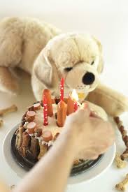 Sugarprincess Schmackofatzige Hundetorte Fur Unseren Golden Retriever Tamino Ilios Of Golden Hearts Rezept Hunde Torte Hunde Kuchen Lebensmittel Essen