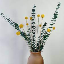 Ghy Decor Dried Real Natural Craspedia Yellow Billy Ball With Etsy In 2021 Dried Flower Arrangements Flower Arrangements Simple Dried Flowers