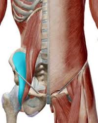 Place the hands around the back of the right thigh and pull it close to the upper body. Tight Hip Flexors The Root Of All Evil The Functional Movement Club Brookvale