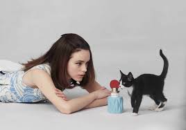Beauty points sammeln & mit der douglas beauty card von exklusiven vorteilen profitieren. The Best Fashion Campaigns Featuring Cats Another