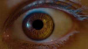 Der Fotografische Blick Die Essenz Der Fotografie Fotografie Fotographie Tipps Fotografie Ideen