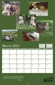 Triad Golden Retriever Rescue 2021 Calendar Fundraising