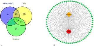 Image result for Kedrostis abdallai