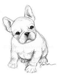 Just A Quick Sketch Of A French Bulldog Puppy On A Sunday Afternoon Simple In 2b Pencil Visit Me On Etsy At Jba Animal Sketches Dog Drawing Bulldog Drawing