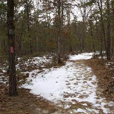 Wharton State Forest Batsto Lake Trail Njhiking Com Wharton State Forest State Forest Yosemite Camping