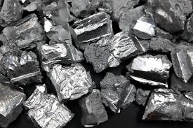 Image result for Smodingium