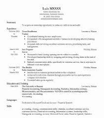 resume samples skills resume format