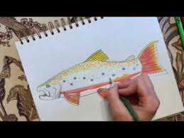 We did not find results for: How To Draw A Brook Trout Youtube