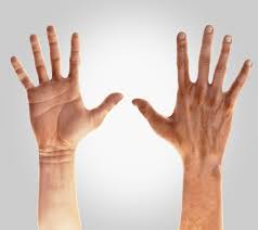 Maybe you would like to learn more about one of these? Realistic Rigged Hand Free Download Cg Cookie