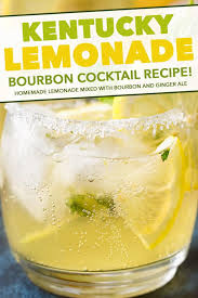 This is going to be my signature drink of the summer. Kentucky Lemonade Recipe Bourbon Cocktail The Chunky Chef