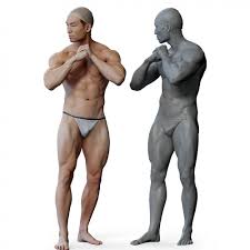 The thoracic segment of the trunk, the abdominal segment of the trunk, and the perineum. Male 02 Anatomy Reference Pose 010
