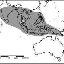 578147 Pdfs Review Articles In Invasive Species