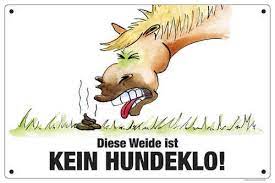 Weiter bieten wir auch schilder für andere fachrichtungen wie parkverbotsschilder, kein hundeklo schilder, parken verboten schild, winterdienst schilder oder videoüberwachung schilder. Warnschild Diese Weide Ist Kein Hundeklo Comic Schilder