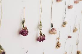 Only 1 available and it's in 3 people's carts. How To Hang Flowers Off 58 Online Shopping Site For Fashion Lifestyle