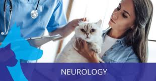 Blue cross pet hospital ⭐ , ⓜ north hollywood station, united states of america, state of california, los angeles, tujunga avenue: 24 Hour Veterinary Cardiology In Los Angeles Call Mash Metropolitan Animal Specialty Hospital