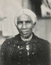 Elzira McWilliam Ballard (1830-1901)