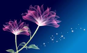 Transparent Flowers Hd Wallpaper Purple Flower Pictures Purple Flowers Wallpaper Flower Pictures