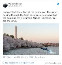 30 Funny Posts Of "Wildlife Returning' To Nature As Humans Are ...