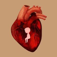 Nicholas Duffaut Inner Child Heart Art Inner Child Anatomy Art