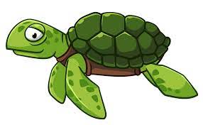 Green Turtle Cliparts Turtle Png Image And Clipart Animal Illustration Marine Animals Pictures Of Turtles