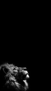 Download hd black wallpapers best collection. Black Wallpaper 4k Dunkler Hintergrund Hd Apps Bei Google Play Lion Wallpaper Iphone Black Wallpaper Iphone Lion Wallpaper