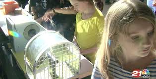 Sisters Science Fair canceled after founders step down