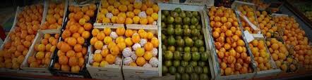 Magasin Bio Mons En Baroeul 59370 Alimentation Biologique Tous Voisins