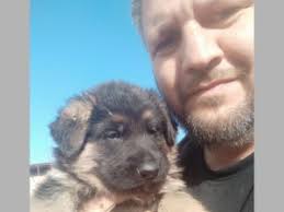 Giuseppe Cavallo, l'appassionato educatore cinofilo di Marconia e i suoi  preziosi consigli