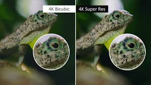 Sony's 4k ad page goes into obsessive detail about its. Orbo Ai Harnessing The Openvino Toolkit To Revolutionize Image