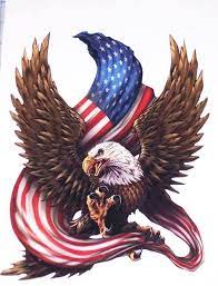 The bald eagle is a national animal as well as the national bird of the us. This Listing Is For 1 Full Color Printed Bald Eagle Holding American Flag Decal Made Of High Quality 3m Graphic V American Bald Eagle Eagle Painting Bald Eagle