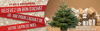 Bon Plan Ou Acheter Un Sapin De Noel Naturel Pas Cher En 2017 C Est Encore Un Peu Noel