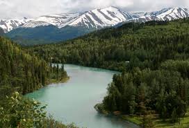 kenai river wikipedia