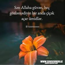 Qarisiq Kitabdansoz Menali Sekiller » SeniSevirem.Az, Sekiller, Burcler,  Yukle, Status, Maraqli,