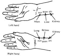 pulse diagnosis is used to determine the root of what ails