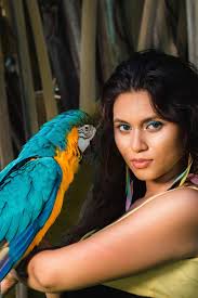 macaw bird model photography animal photoshoot model photography animal fashion